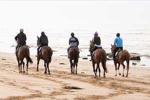 O'BRIEN TO SELL 13TH BEACH PROPERTY